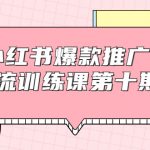 小红书爆款推广引流训练课第十期，手把手带你玩转小红书，轻松月入过万