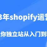 shopify运营课，7天让你独立站从入门到精通（价值1980元