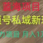 蓝海项目，视频号私域新玩法，暴力项目月入1万+【揭秘】