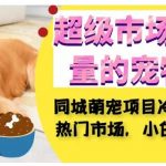 超级市场自带流量的宠物领域，同城萌宠项目冷门方法打破热门市场，小白轻松600+