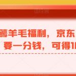 最新薅羊毛福利，京东活动，只要一分钱，可得16元