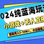 2024纯蓝海玩法，小游戏+无人直播单号单日收益2000+，快速变现
