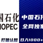2024中石化加油卡项目，秒变现，日入1000+，新手可做