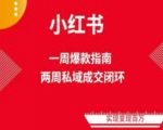 “爆款小红书免费流量体系课程(两周变现)，小红书电商教程