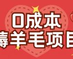 “0成本，薅羊毛玩法一分钱不花一部手机即可操作单机1个小时30+”