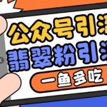 “公众号利用推荐流量和搜一搜流量引流翡翠粉，一鱼多吃”