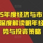 “2025年度经济与市场展望，深度解读明年经济趋势与投资策略”
