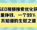 “抖音SEO视频搜索优化获取免费流量挣钱，一个99%人还不知道的生财之道”