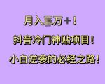 “抖音冷门神贴项目，小白逆袭的必经之路，月入过W【揭秘】”