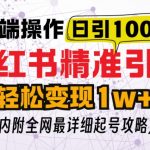 “小红书顶级引流玩法，一天100粉不被封，实操技术【揭秘】”