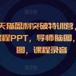 “淘宝天猫盈利突破特训营，6天6夜，课程PPT，导师脑图，学员脑图，课程录音”