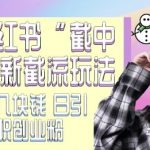 “最新小红书截流玩法 独家截中截 单号成本几块钱 日引500+CY粉JZ粉”