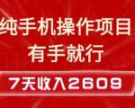 “纯手机操作的小项目，有手就能做，7天收入2609+实操教程【揭秘】”
