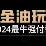 “2024最牛强付费，万金油强付费玩法，干货满满，全程实操起飞（更新12月）”