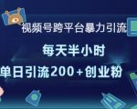 “视频号跨平台暴力引流，每天半小时，单日引流200+精准创业粉”