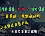 “小额付费引爆 300 + 精准创业粉，零剪辑、零复杂起号，话术撬动被动引流，当日实操即见成效”