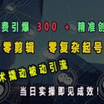 “小额付费引爆 300 + 精准创业粉，零剪辑、零复杂起号，话术撬动被动引流，当日实操即见成效”