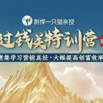 “剽悍一只猫-过钱关特训营，学习营销真经 大幅度提高创富效率”