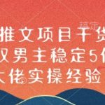 “小说推文项目干货分享，双男主稳定5位数大佬实操经验”