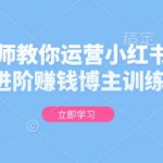 “金牌导师教你运营小红书，0基础进阶赚钱博主训练课”