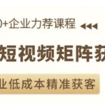“AI短视频矩阵获客实操课，企业低成本精准获客”