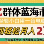 “6亿群体蓝海市场，零经验小白用一台电脑，如何轻松月入过w【揭秘】”