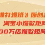 “《淘宝天猫打爆班》原创高阶技术第64期，淘宝小爆款矩阵，年销售8000万店爆款矩阵操作”