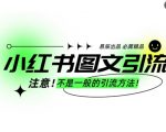 “小红书图文引流创业粉，最稳引流方法，日引300+可批量操作”