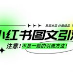 “小红书图文引流创业粉，最稳引流方法，日引300+可批量操作”