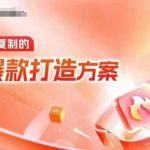 “天猫电商爆款运营，可复制的爆款打造方案(线下内训课录音+字幕)”