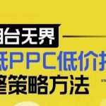 “超低PPC低价扫流完整策略方法，最新低价扫流底层逻辑，万相台无界低价扫流实战流程方法”