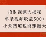“招财视频大揭秘：单条视频收益500+，小众赛道也能挣翻天!”