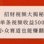 “招财视频大揭秘：单条视频收益500+，小众赛道也能挣翻天!”